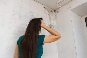 Home mold problems